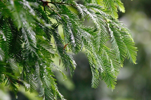 a0248459_20235060.jpg