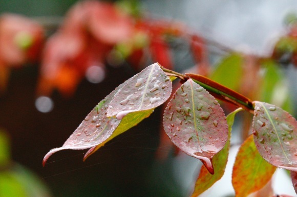 a0248459_20314108.jpg