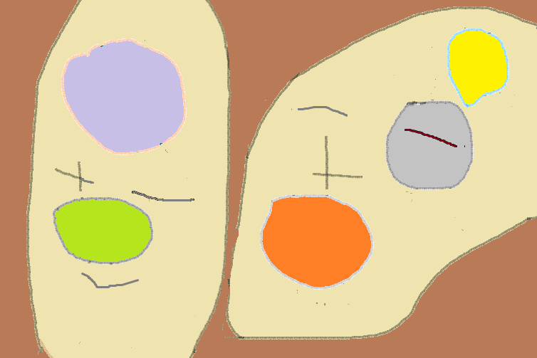 e0370759_17575661.png