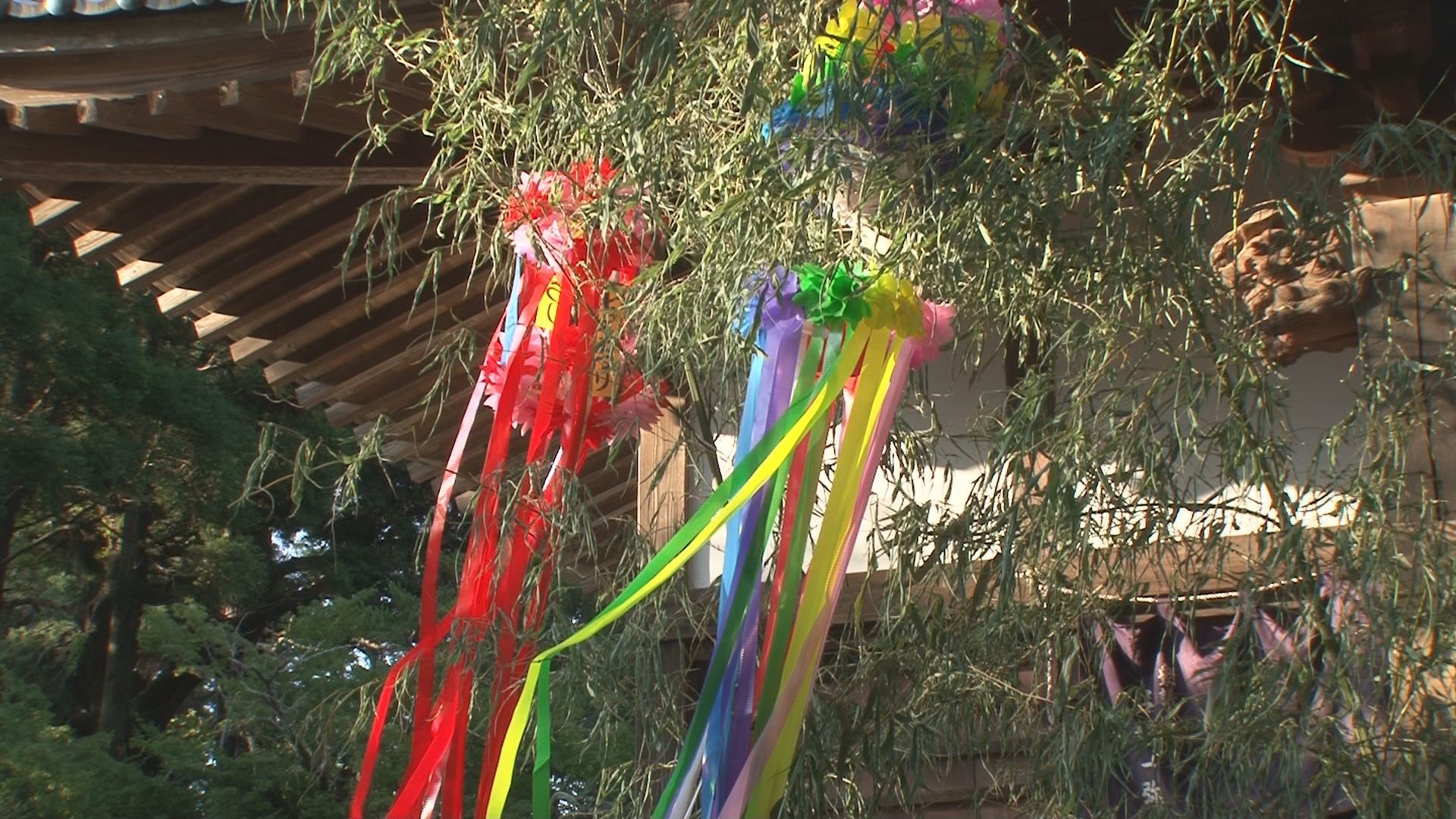 a0002665_20524410.jpg