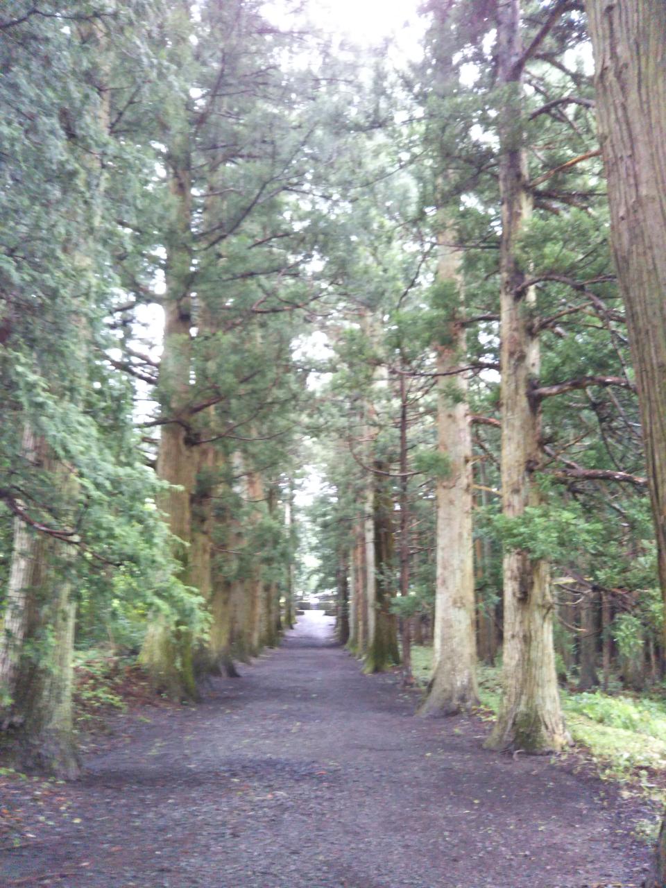 f0208665_9131190.jpg
