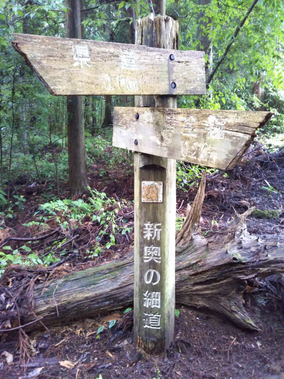 f0208665_9131284.jpg