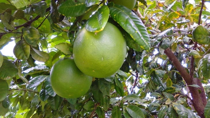c0333067_14013582.jpg