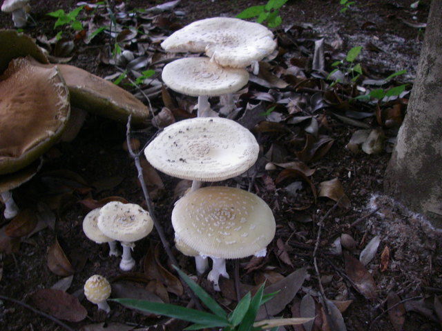 a0074069_16512400.jpg