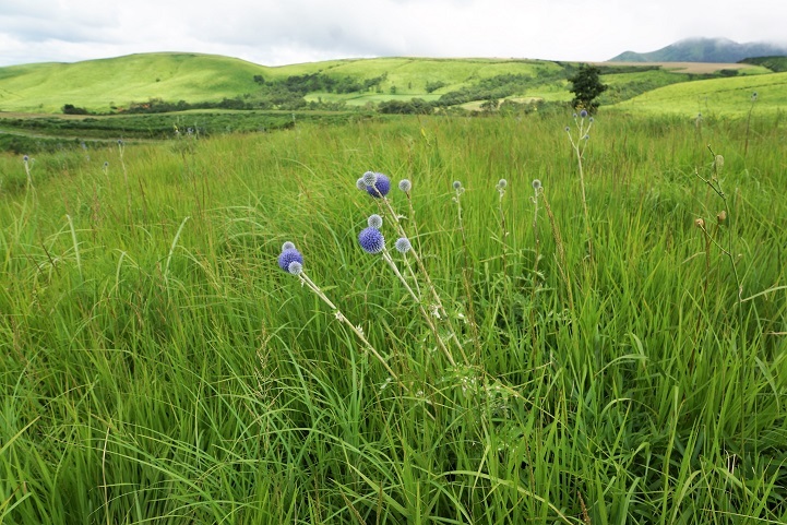 c0248473_20100324.jpg
