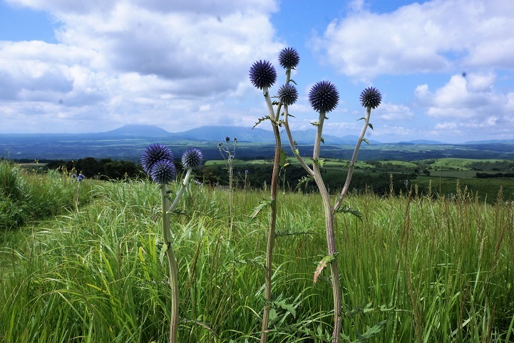 c0248473_20103890.jpg