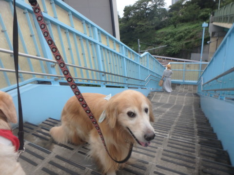 f0052277_01375754.jpg