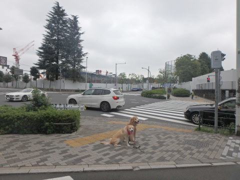 f0052277_01402006.jpg