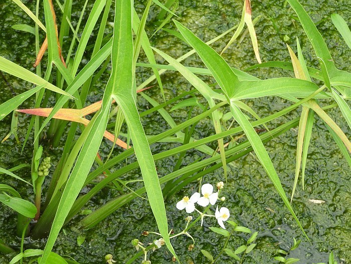 f0378979_13465363.jpg