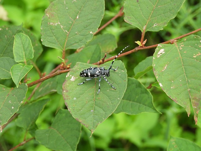 f0378979_13503578.jpg