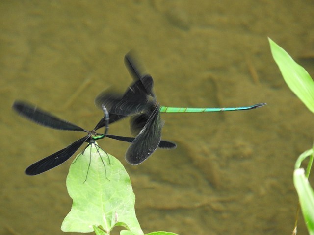 f0378979_13540048.jpg