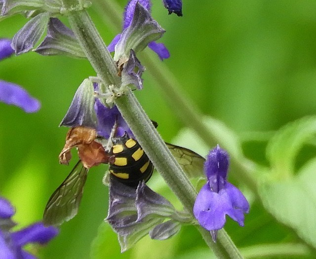 f0378979_14011508.jpg