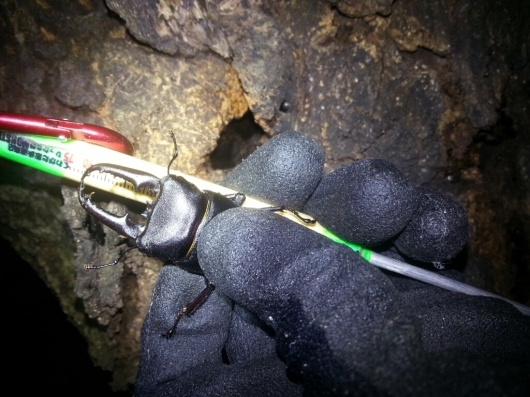 f0183484_19275220.jpg