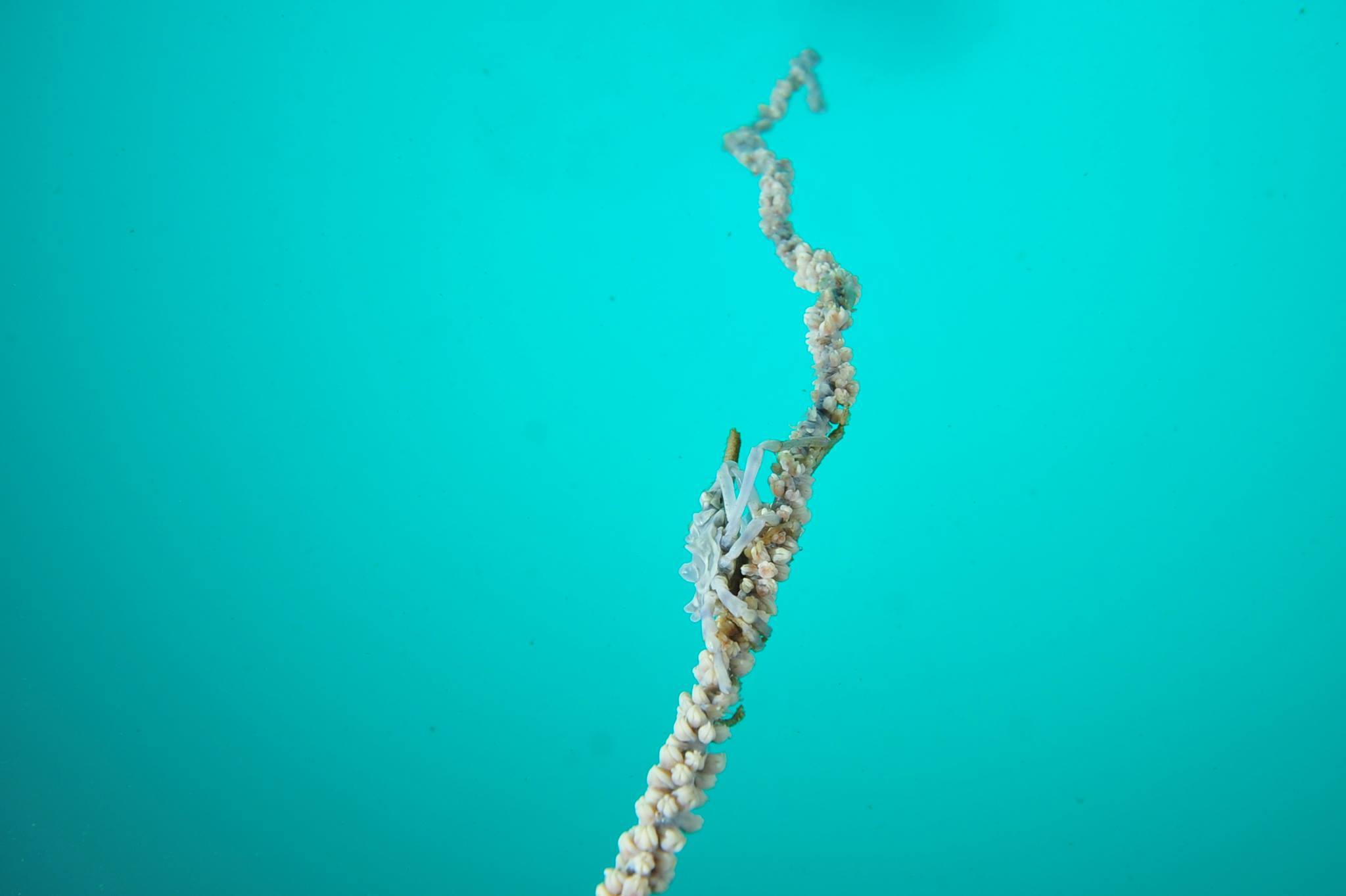 f0151886_19104688.jpg