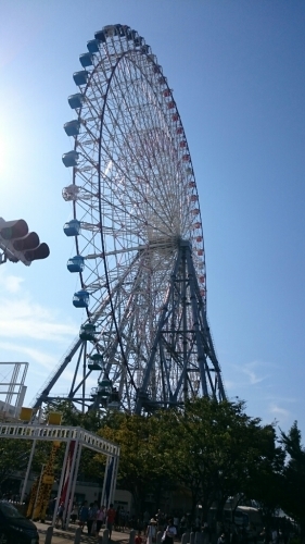 b0340187_18401401.jpg