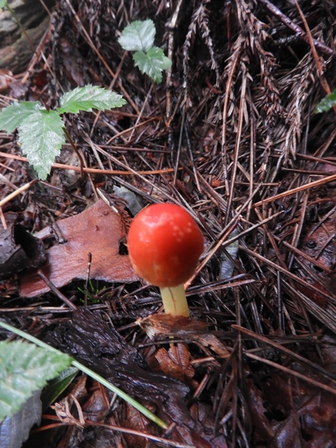 f0357487_2329650.jpg