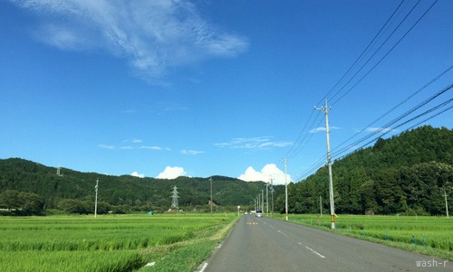 b0029488_18514138.jpg