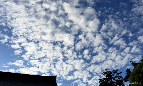 b0029488_1851521.jpg