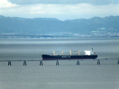 b0192588_927566.jpg