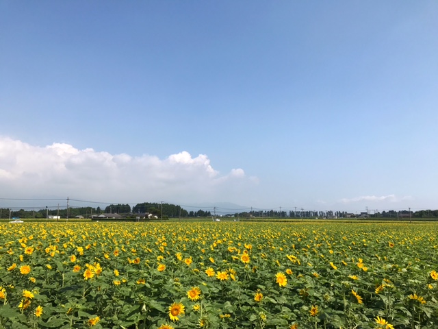 c0184491_1630282.jpg
