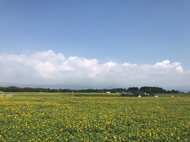 c0184491_16303162.jpg