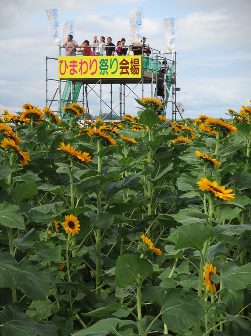 c0093892_17442592.jpg