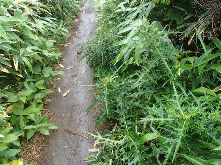 e0211293_07561228.jpg