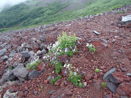 e0211293_07583481.jpg