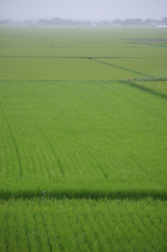 c0337494_09414017.jpg