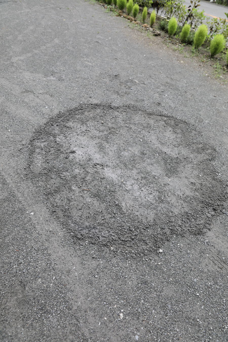 b0275998_14155860.jpg