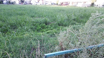 b0366199_20234248.jpg