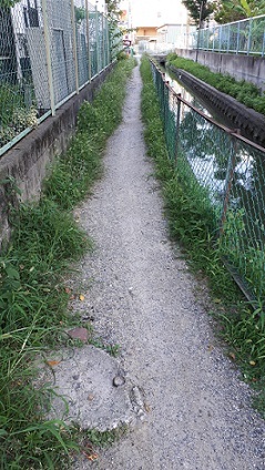 b0366199_20452032.jpg