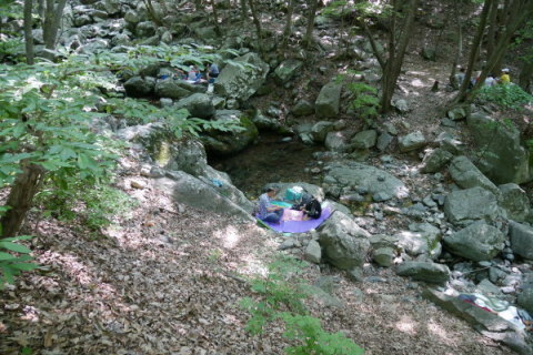 a0140305_00315220.jpg