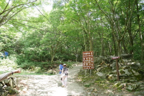 a0140305_00325177.jpg