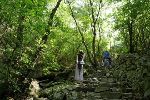a0140305_00442419.jpg