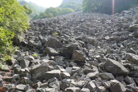 a0140305_01065864.jpg