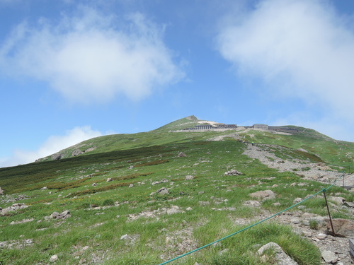 d0230507_8403368.jpg