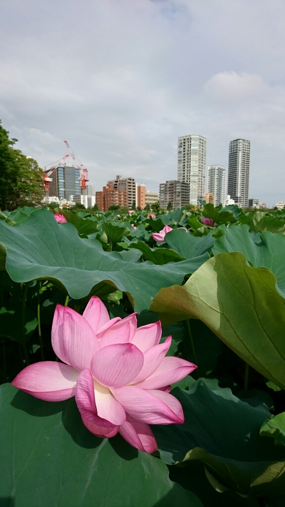 a0228408_09205199.jpg