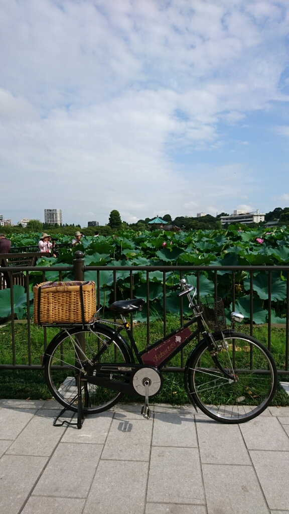 a0228408_09205534.jpg