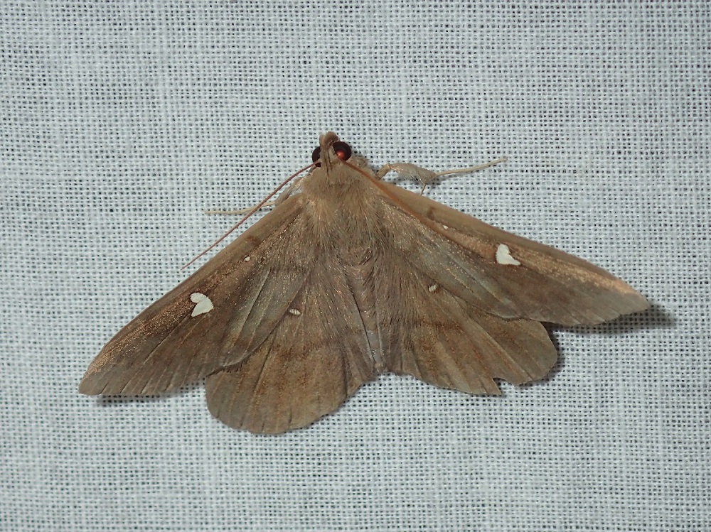 b0137208_828292.jpg