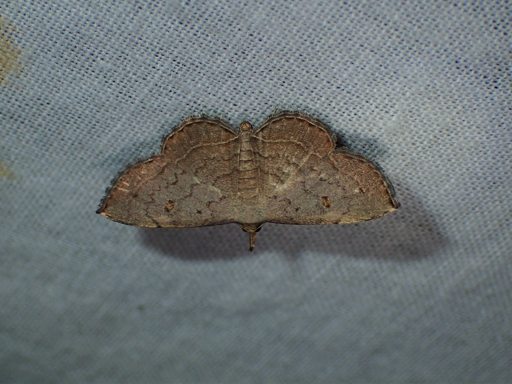b0137208_830418.jpg