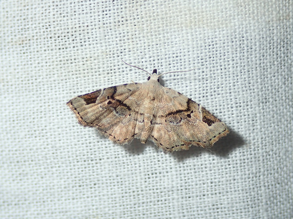 b0137208_8453574.jpg
