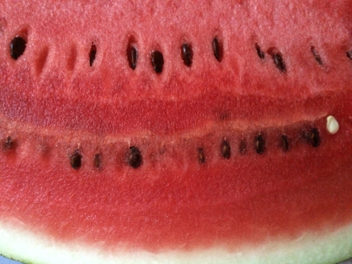 f0155808_19231112.jpg