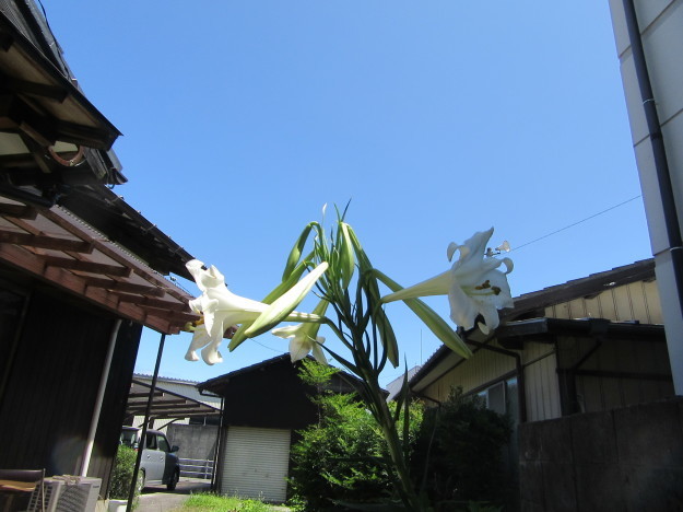 f0231709_16560649.jpg