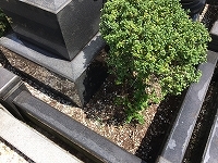 e0363711_10053953.jpg