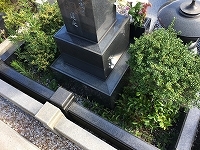 e0363711_10053970.jpg