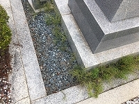 e0363711_15201046.jpg