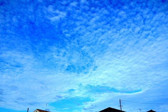 a0158613_20263454.jpg