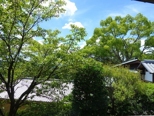 a0158613_20504263.jpg