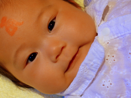 a0158613_21031637.jpg